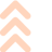 Icon-2